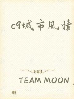 c9城市风情