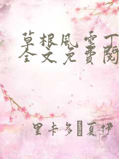 草根风云丁长生全文免费阅读