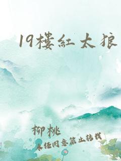 19楼红太狼