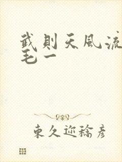 武则天风流艳情毛一