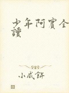 少年阿宾全集阅读