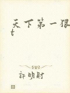 天下第一狠txt