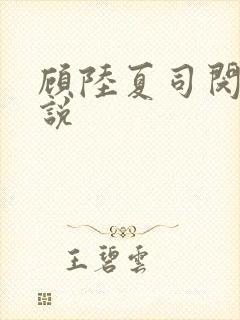 顾陆夏司闵郁小说