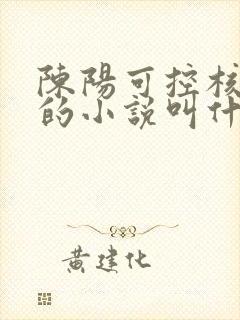 陈阳可控核聚变的小说叫什么名字