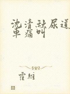 沈清秋尿道扩张车痛叫