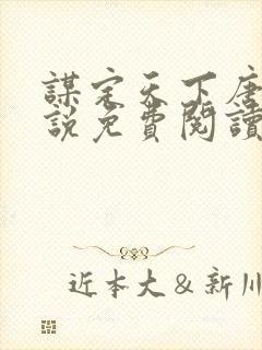 谋定天下唐诚小说免费阅读