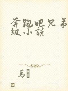 奔跑吧兄弟限制级小说