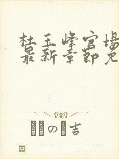 杜玉峰官场小说最新章节免费阅读