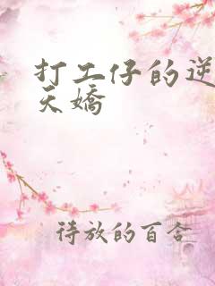 打工仔的逆袭楚天娇