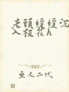 老头缓缓沉腰进入校花h