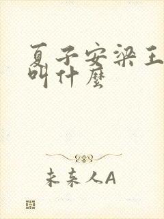 夏子安梁王书名叫什么