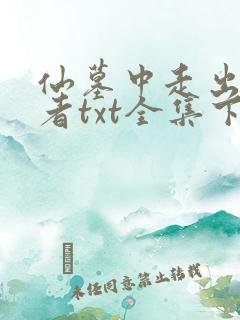 仙墓中走出的强者txt全集下载