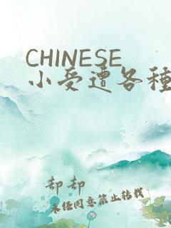 CHINESE小受遭各种打桩