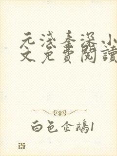 元浅秦深小说全文免费阅读