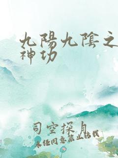 九阳九阴之阴阳神功