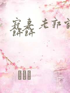 宠妻 老郭家的饼饼