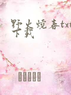 野火烧春txt下载