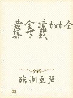 黄金瞳txt全集下载