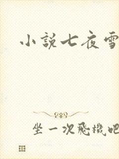 小说七夜雪下载