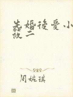 先婚后爱小说梦筱二