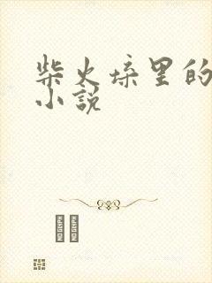 柴火垛里的疯狂小说