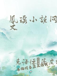 凤瑶小说网高辣文