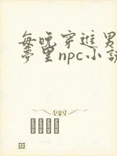 每晚穿进男神的梦里npc小说