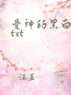 爱神的黑白羽翼txt