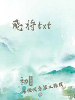 飞将txt