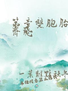 第章双胞胎姐妹齐飞