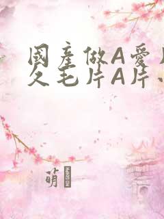 国产做A爱片久久毛片A片小说