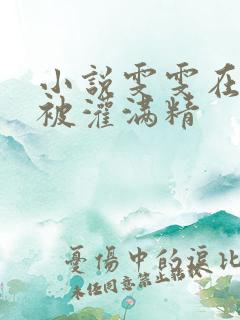 小说雯雯在工地被灌满精