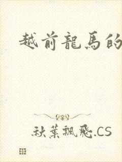 越前龙马的小说