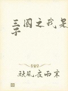 三国之我是皇太子