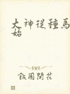 大神从种马文开始