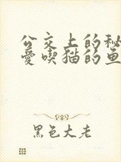 公交上的秘密 爱吃猫的鱼