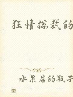 狂情总裁的囚妻