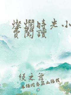 灿烂时光小说免费阅读