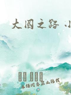 大国之路 小说