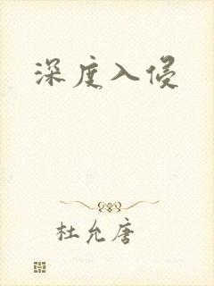 深度入侵