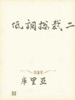 低调总裁二手妻