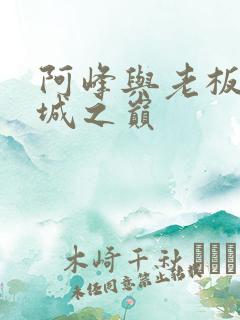 阿峰与老板娘倾城之巅