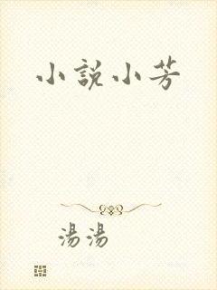 小说小芳
