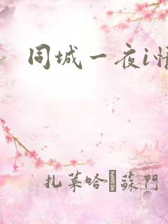 同城一夜i情