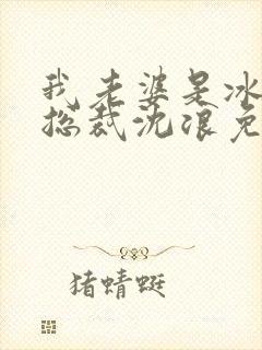 我老婆是冰山女总裁沈浪免费阅读