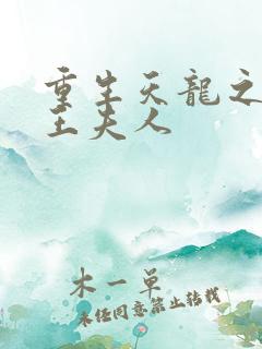 重生天龙之推倒王夫人