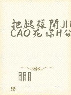 把腿张开JI巴CAO死你H公园