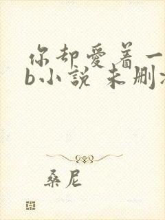 你却爱着一个sb小说 未删减完整版百度云