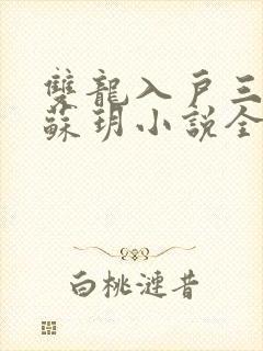 双龙入户三人行苏玥小说全文阅读