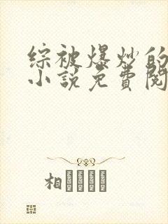 综被爆炒的日常小说免费阅读